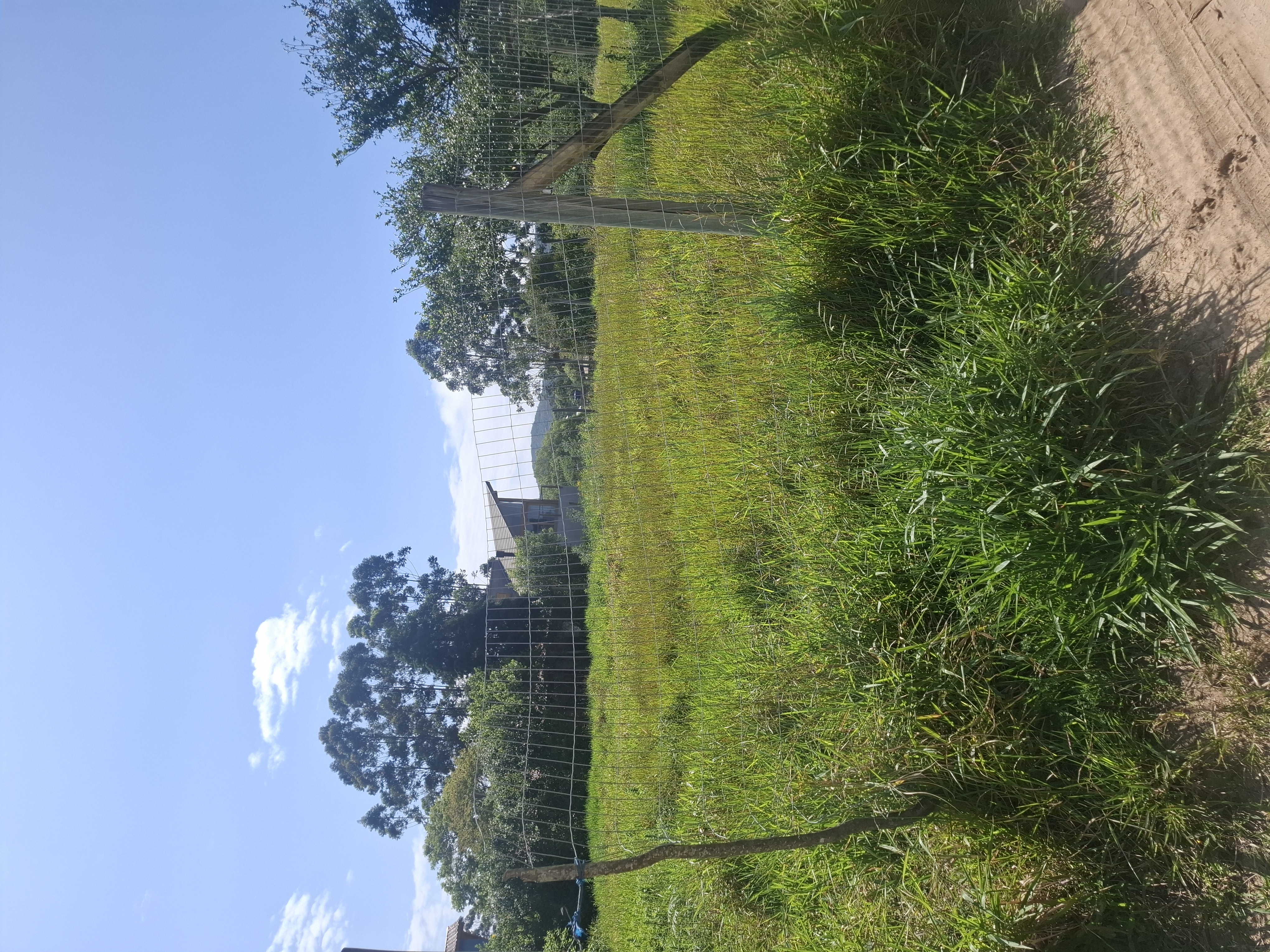 Terreno ibiraquera luz ligada — foto 6