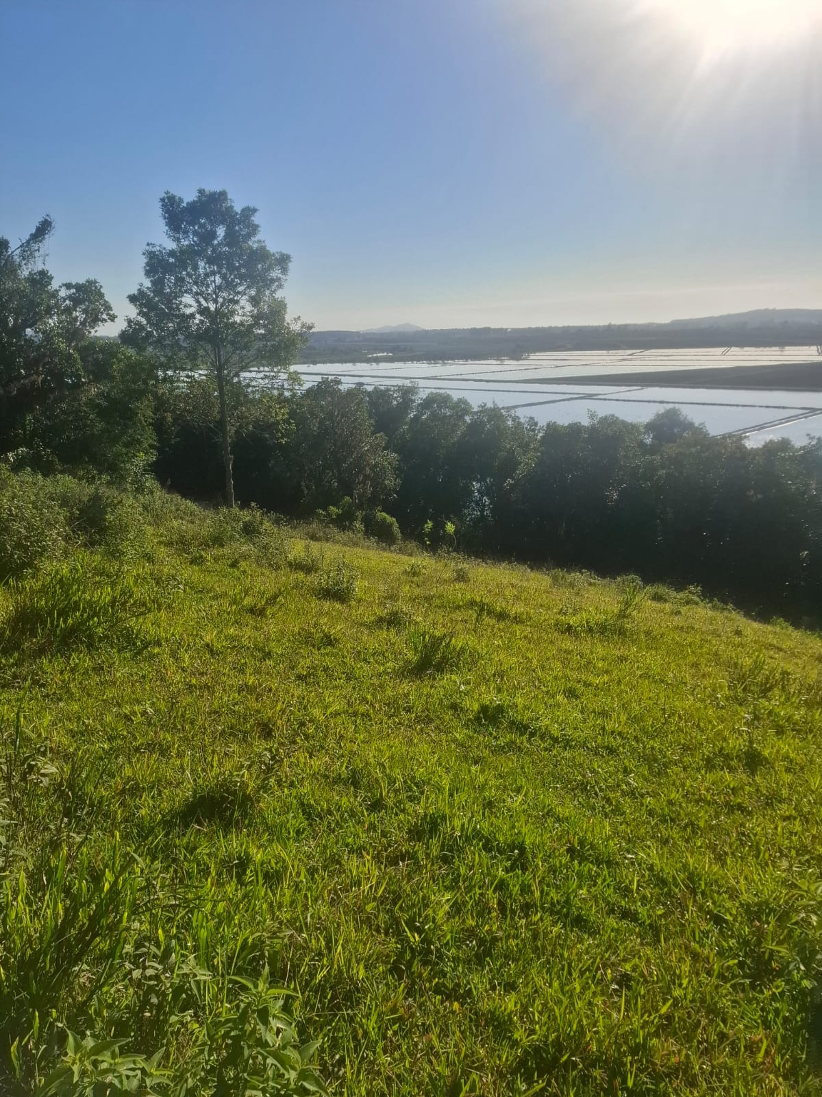 2 hectares beira de Rio Próximo as praias — foto 1