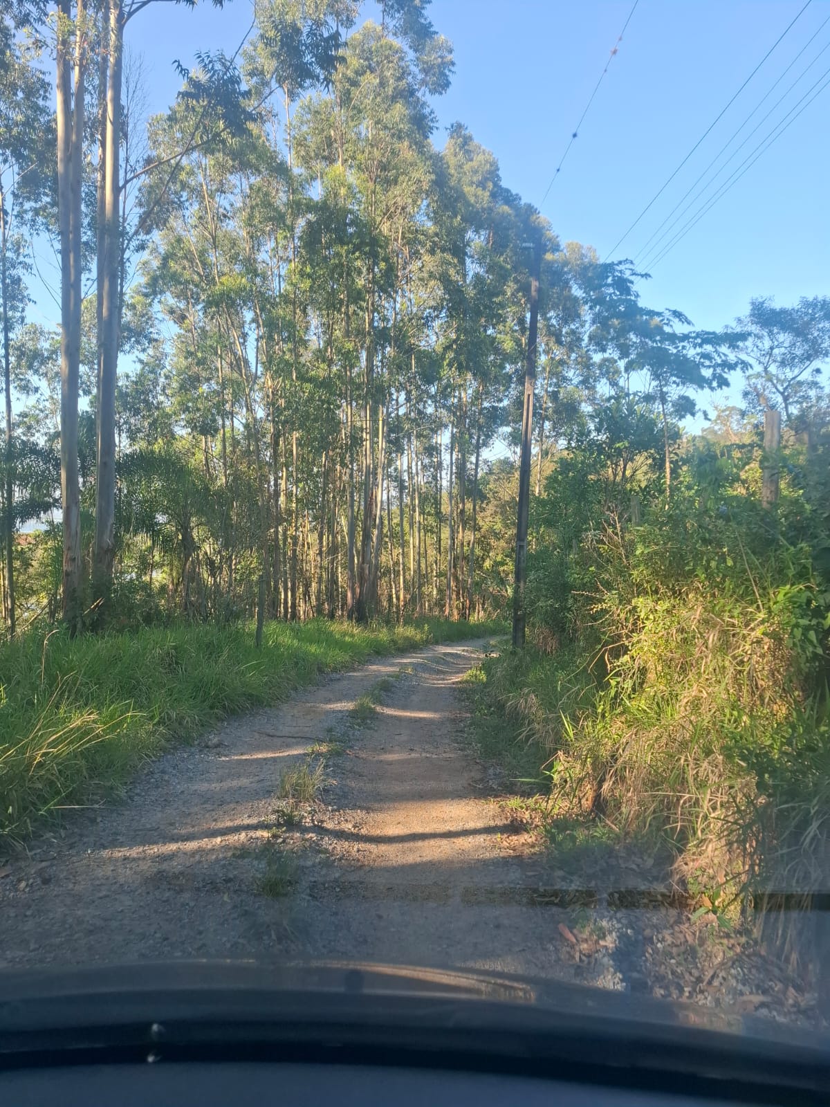 2 hectares beira de Rio Próximo as praias — foto 2