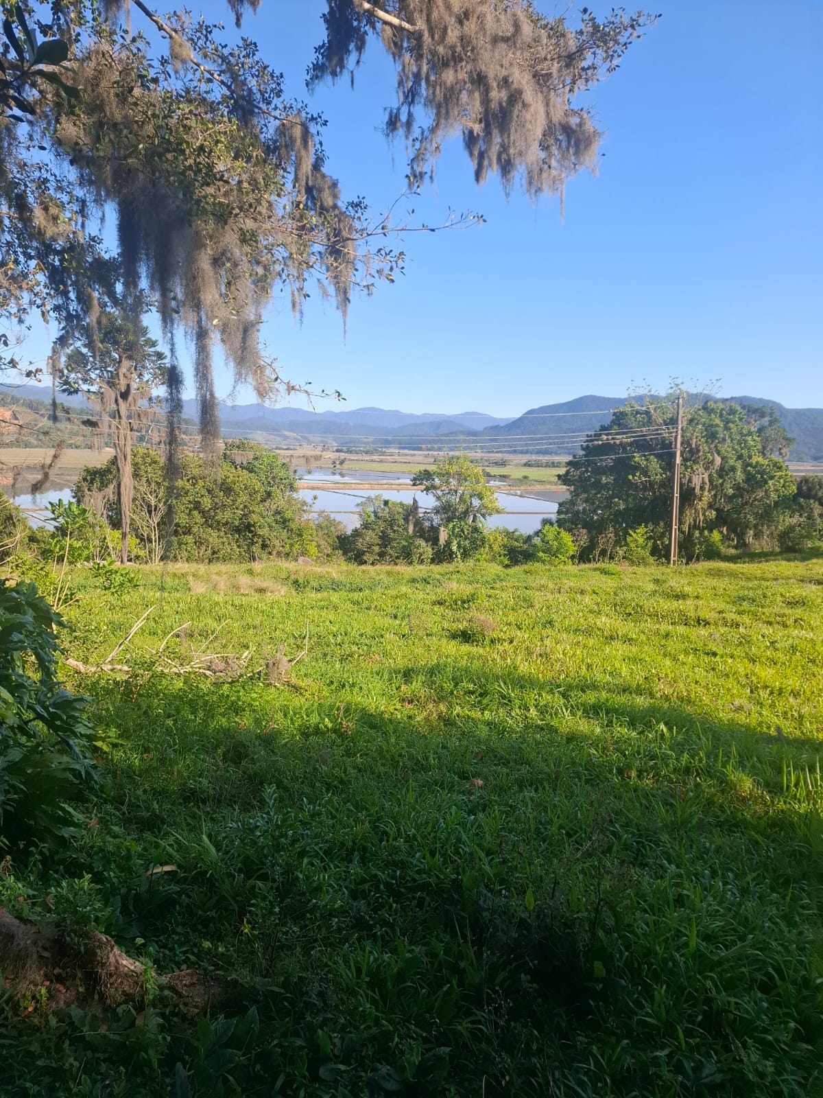 2 hectares beira de Rio Próximo as praias — foto 4