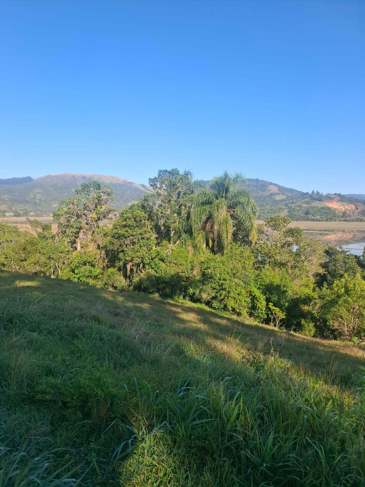 2 hectares beira de Rio Próximo as praias — foto 5