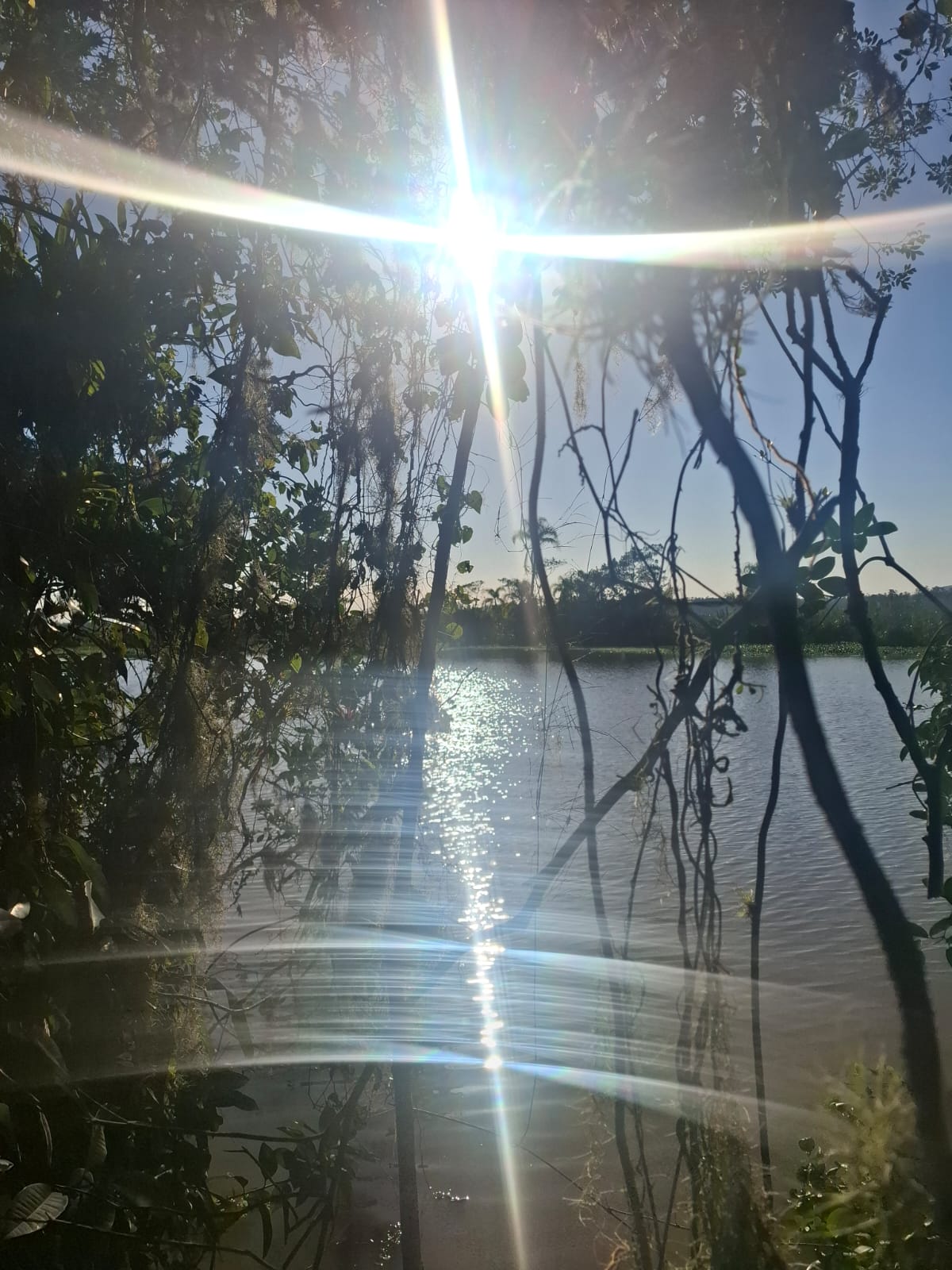 2 hectares beira de Rio Próximo as praias — foto 6