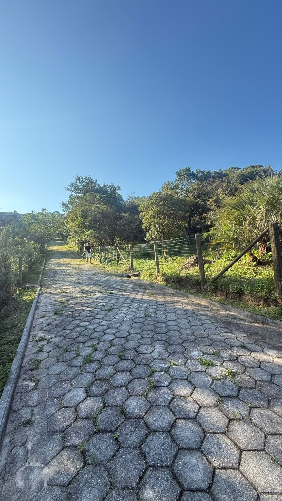 Terreno com vista no Rosa — foto 2